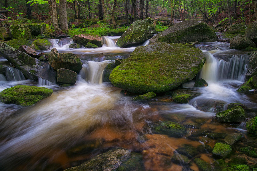 A River Runs Through Photograph by Darylann Leonard Photography