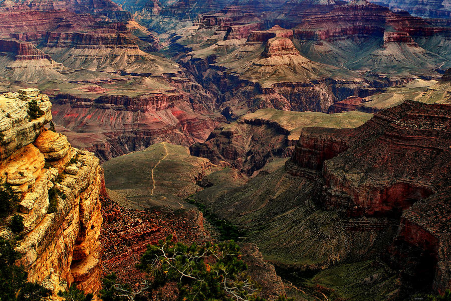 Nature Photograph - A River Runs Through It-The Grand Canyon by Tom Prendergast