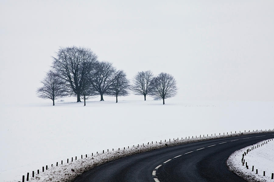 A Road Curving By A Snow Covered Field Photograph by John Doornkamp / Design Pics
