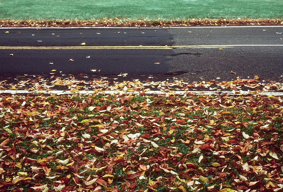 Road In Autumn Photograph