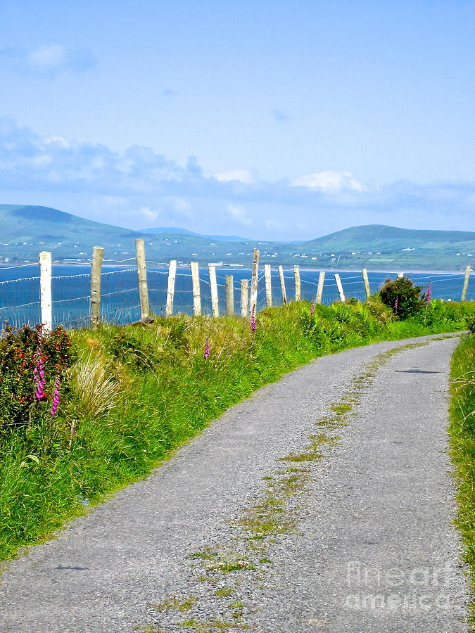 A Road to Waterville Photograph by Suzanne Oesterling