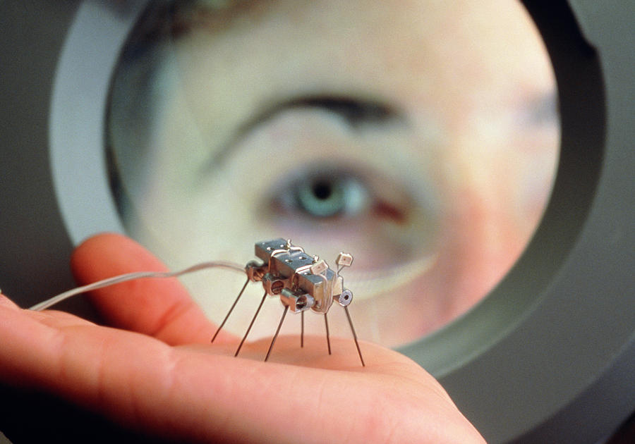 A Robot gnat At The Mit Robotics Lab. Photograph by Science Photo Library