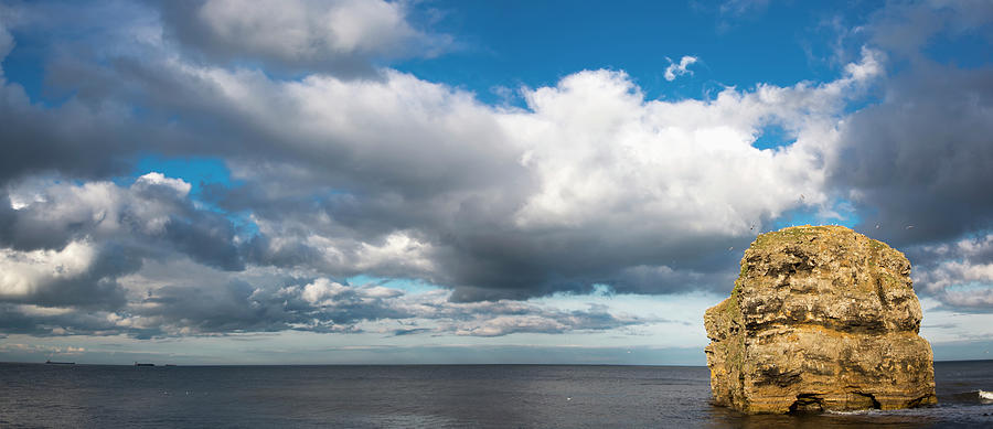 A Rock Formation In The River Tyne Photograph by John Short / Design Pics
