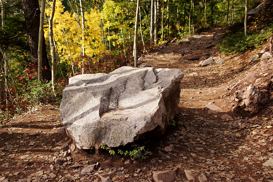 A Rock in the Trail Photograph by Daniel Woodrum