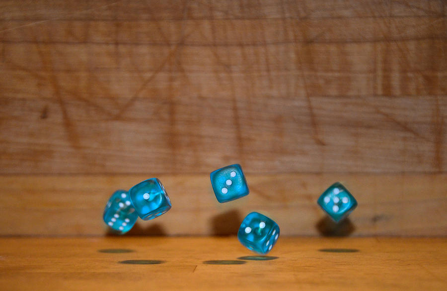 A Roll of the Dice Photograph by Gales Of November