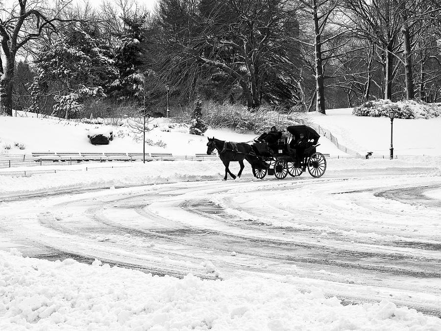 A Romantic Winter Ride Photograph by Cornelis Verwaal - Fine Art America