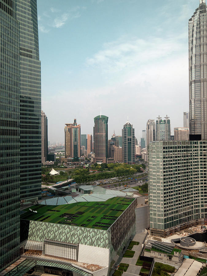 A Roof Garden In Downtown Shanghai Photograph by Patrick Strattner
