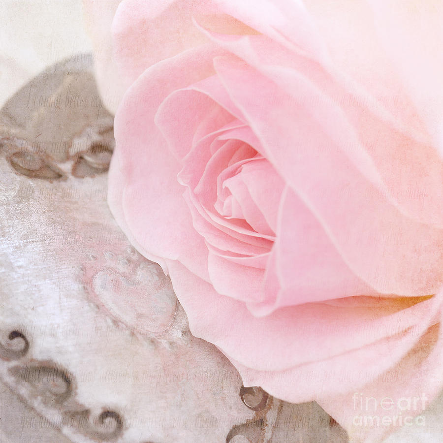 Rose Photograph - A rose and a heart by LHJB Photography