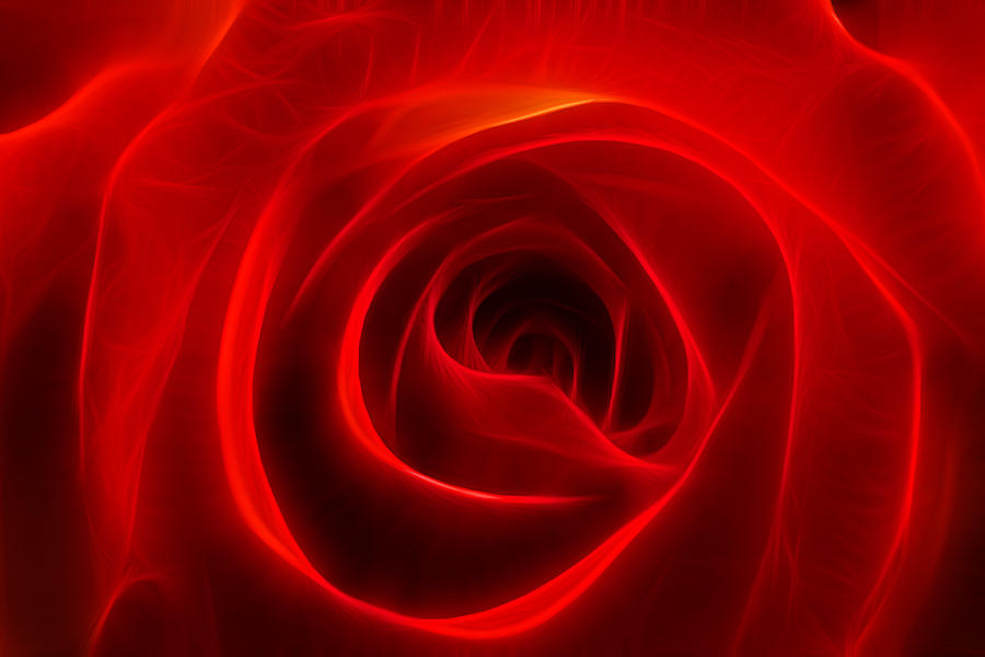 Abstract Photograph - A Rose By Any Other Name by Ricky Barnard