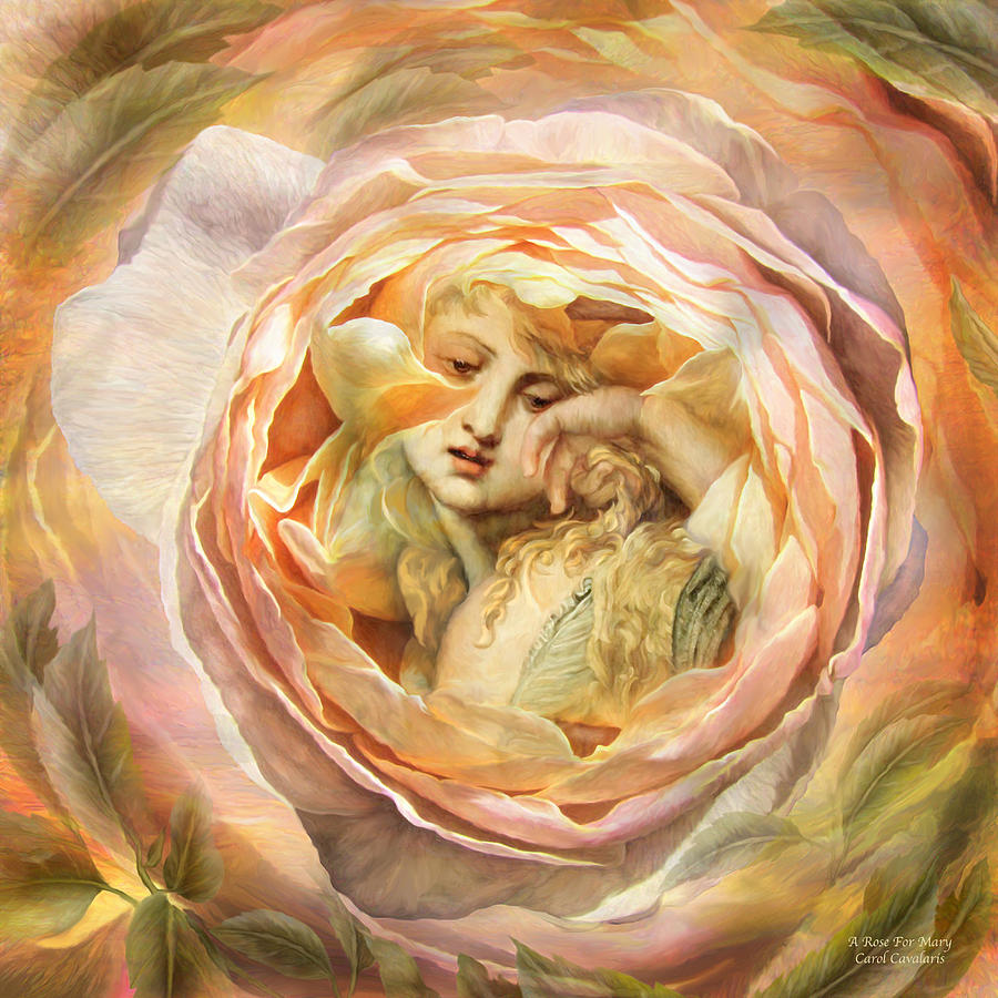 Rose Mixed Media - A Rose For Mary by Carol Cavalaris