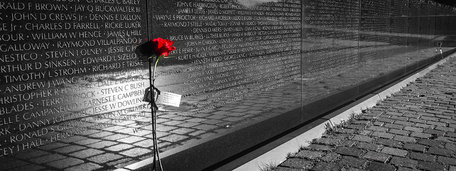A Rose for Vietnam Photograph by Ross Henton