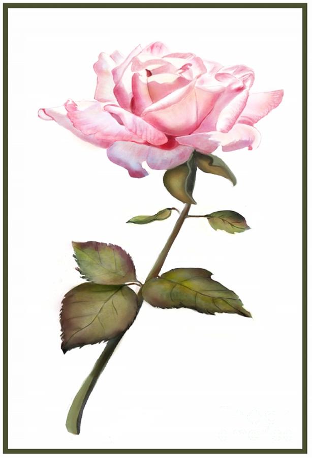 A Rose for You Digital Art by Joan A Hamilton | Fine Art America