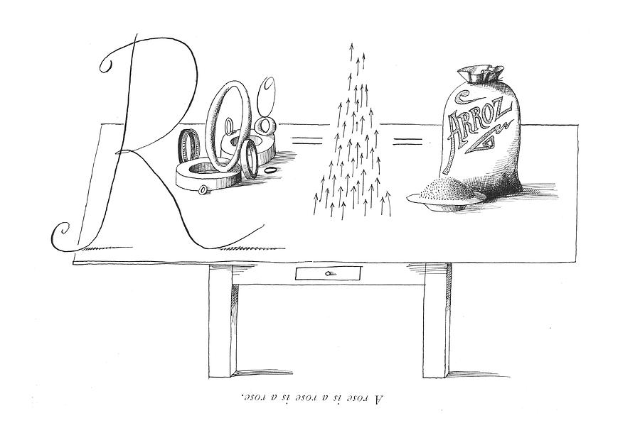 A Rose Is A Rose Is A Rose Drawing by Saul Steinberg