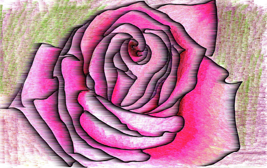 A rose is a rose Drawing by Mary Bedy