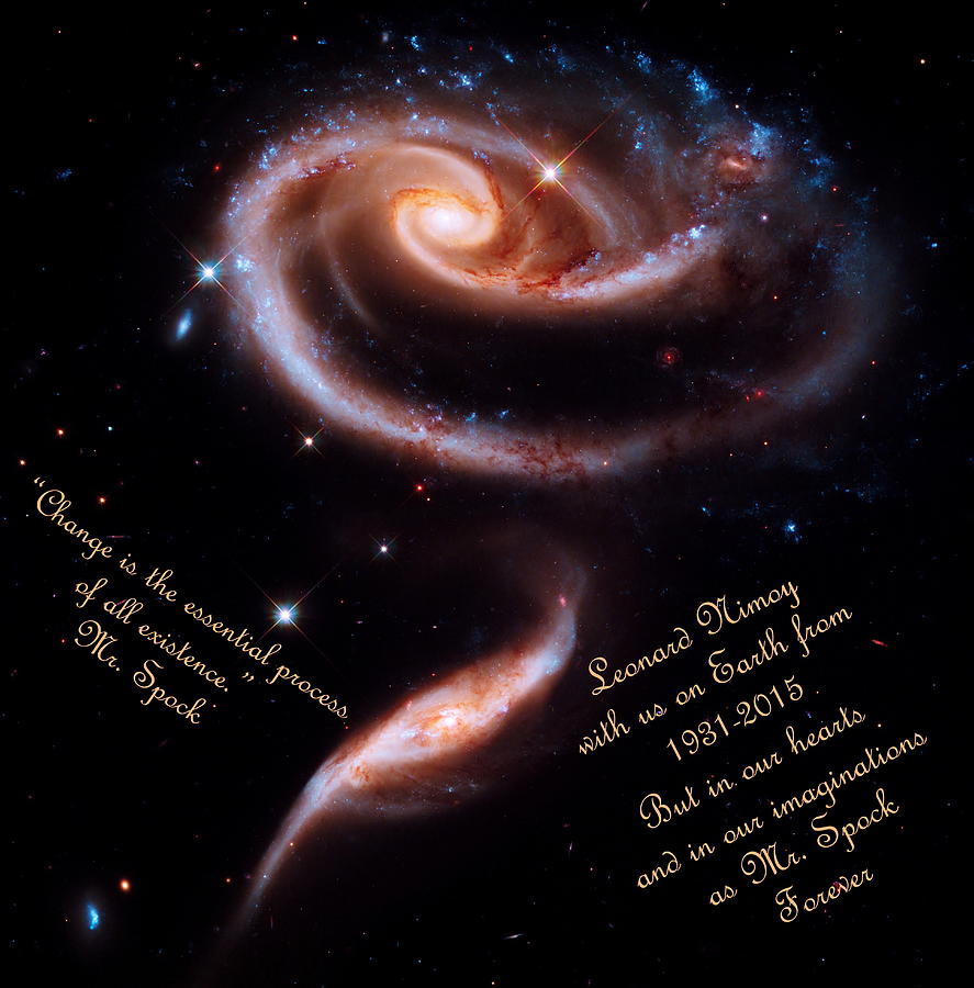 A Rose Made of Galaxies for Spock Photograph by Vicki Maheu