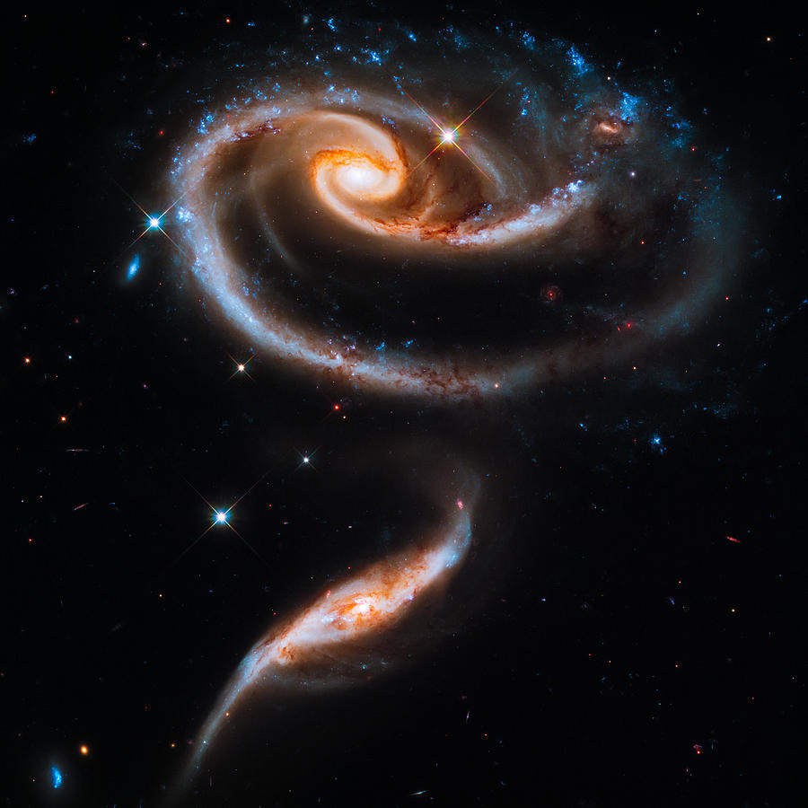 Interstellar Photograph - A Rose Made of Galaxies by Marco Oliveira