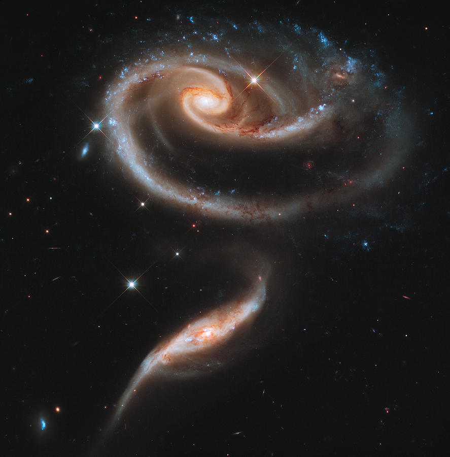 A rose made of galaxies Photograph by Celestial Images