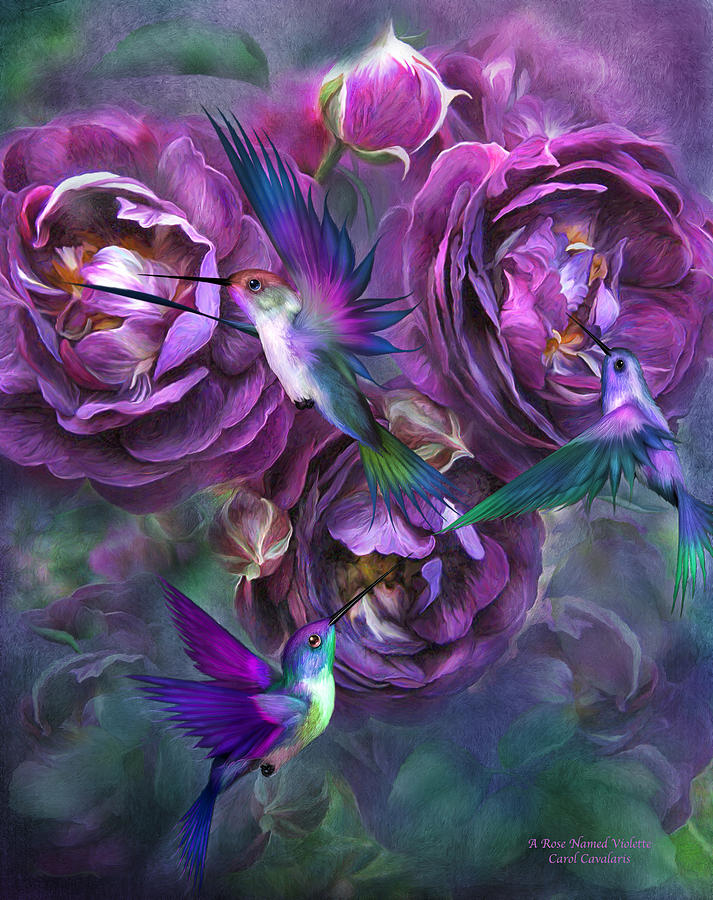 A Rose Named Violette Mixed Media by Carol Cavalaris