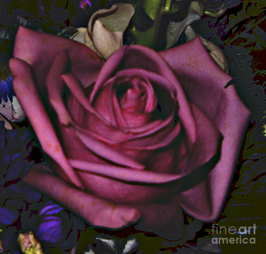 A Rose Painting by Vivian Cook