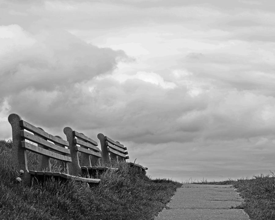 A row of benches in Gloucester MA black and white Photograph by Toby McGuire