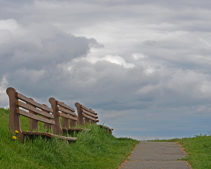 A row of benches in Gloucester MA Photograph by Toby McGuire