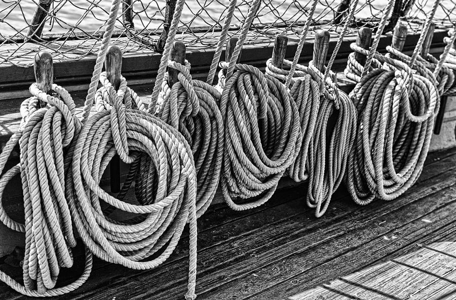 Black And White Photograph - A row of circular lines by Marianne Campolongo