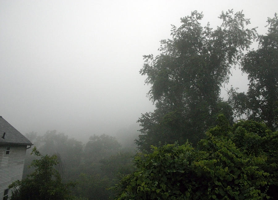 A Rural Pennsylvania Mist Photograph by Cora Wandel