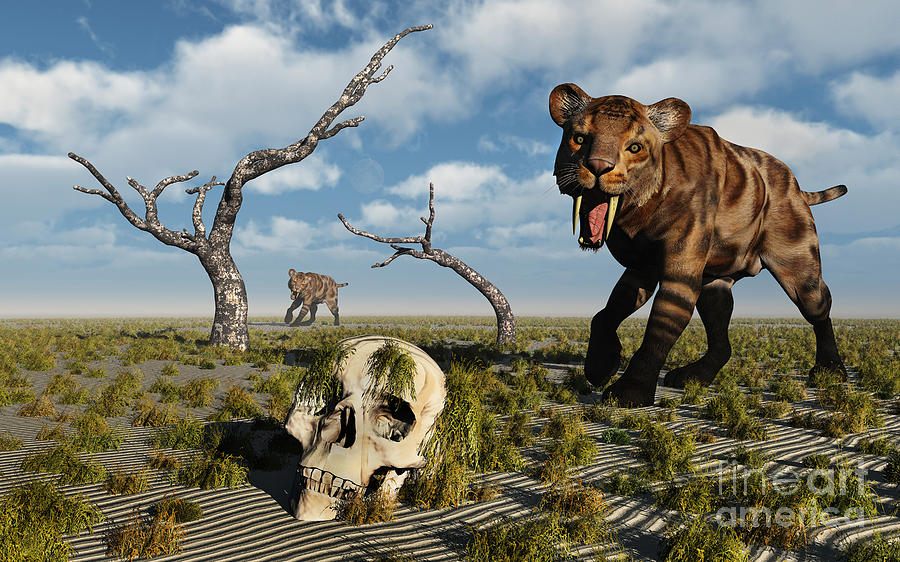 Wildlife Digital Art - A Sabre Tooth Tiger Discovers by Mark Stevenson