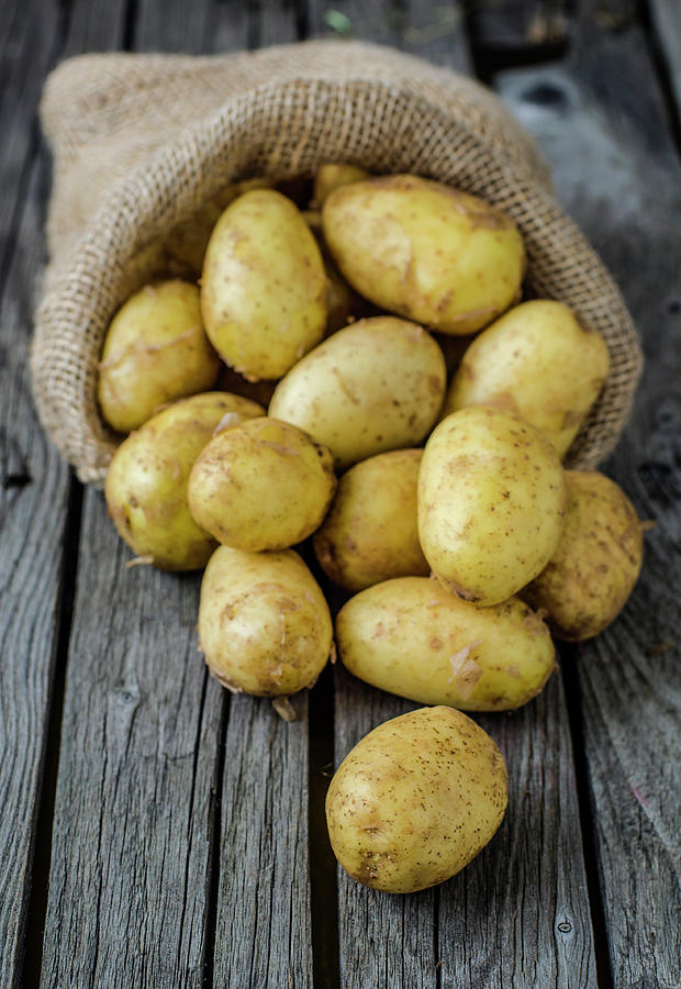 A Sack Of Organic Potatoes On Wooden Photograph by Olena Gorbenko  Delicious Food