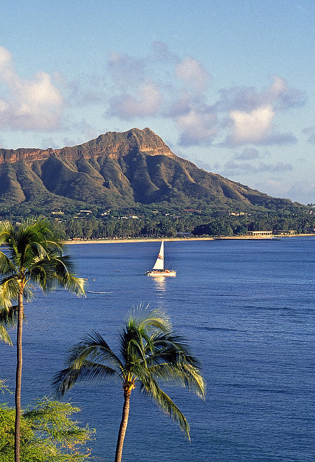 A Sailboat Just Off Diamond Head Photograph by Buddy Mays