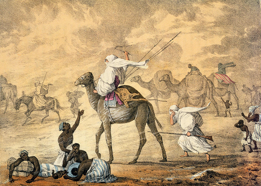 Camel Drawing - A Sand Wind On The Desert by Captain George Francis Lyon