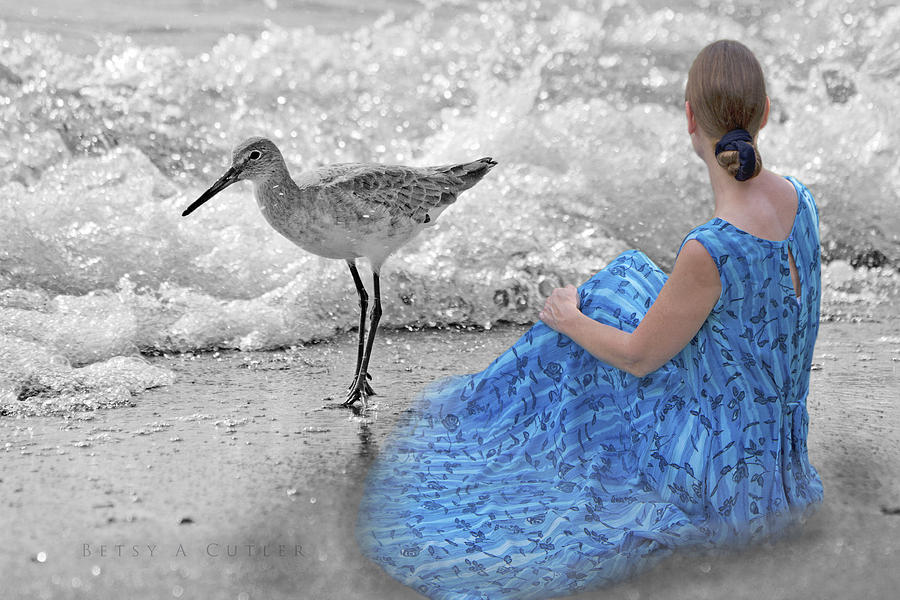 Sandpiper Photograph - A Sandpipers Dream by Betsy Knapp