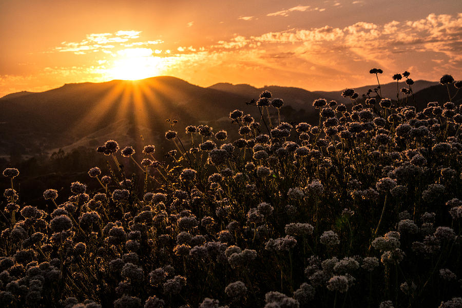 A Santa Monica Mountains Summer Solstice Sun Sets. Photograph by Wasim Muklashy