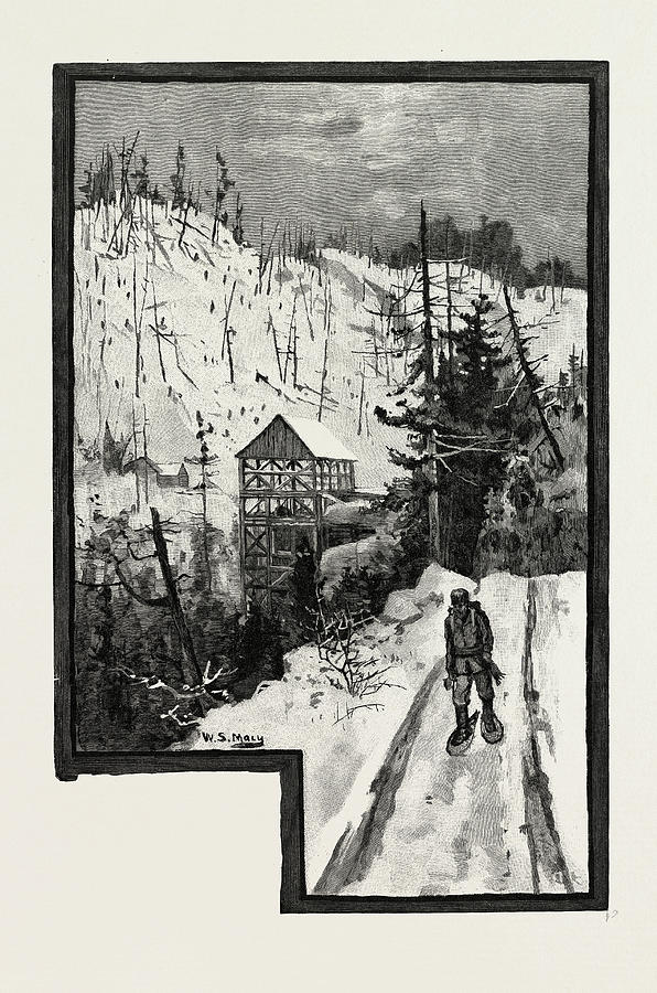A Sawmill In The Backwoods Drawing by Canadian School