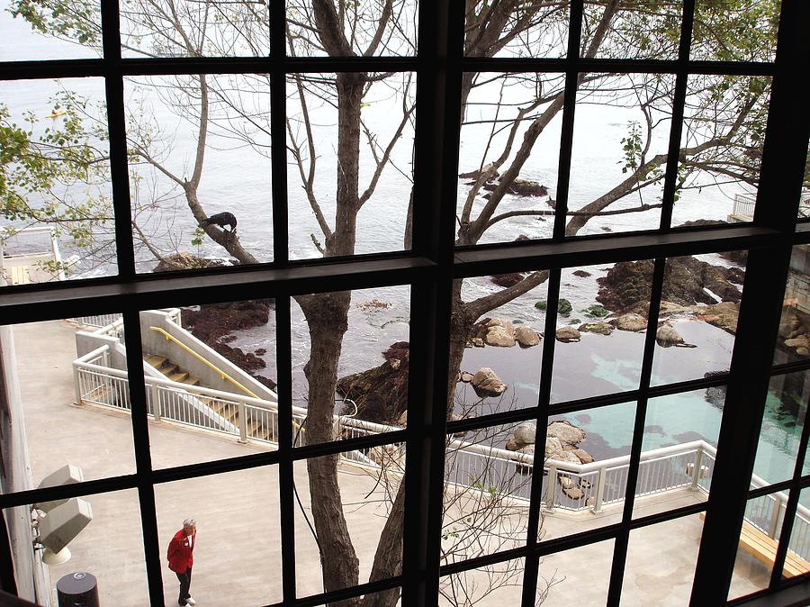 A scenery through windows Photograph by Hiroko Sakai