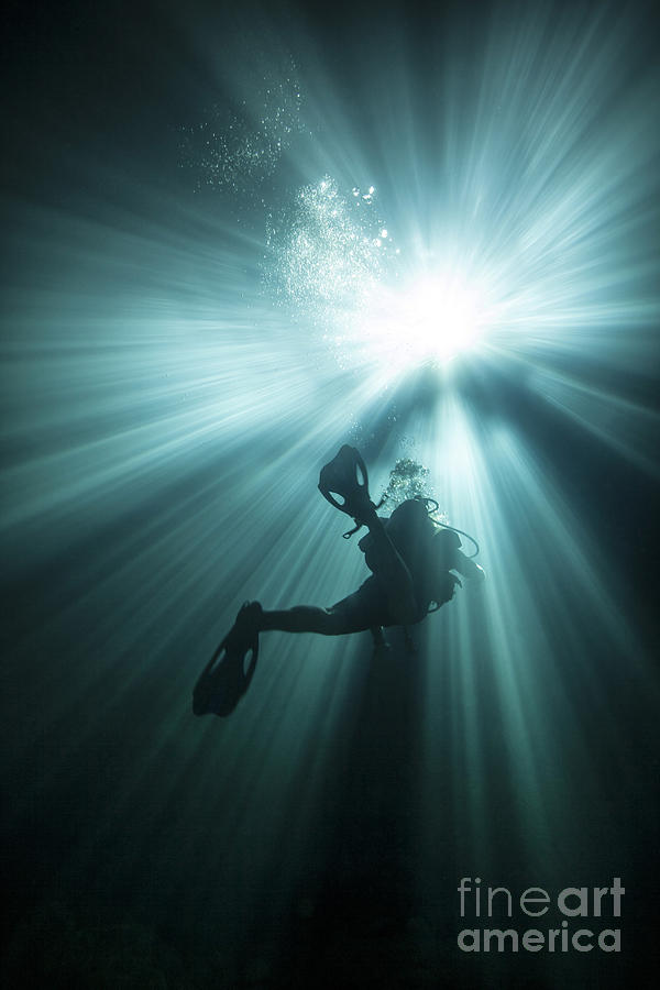 Scuba Diving Photograph - A Scuba Diver Ascends Into The Light by Michael Wood