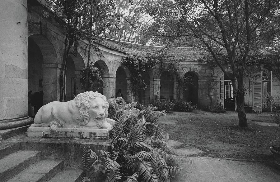 A Sculpture Of A Lion In A Garden Photograph by Patrick Litchfield