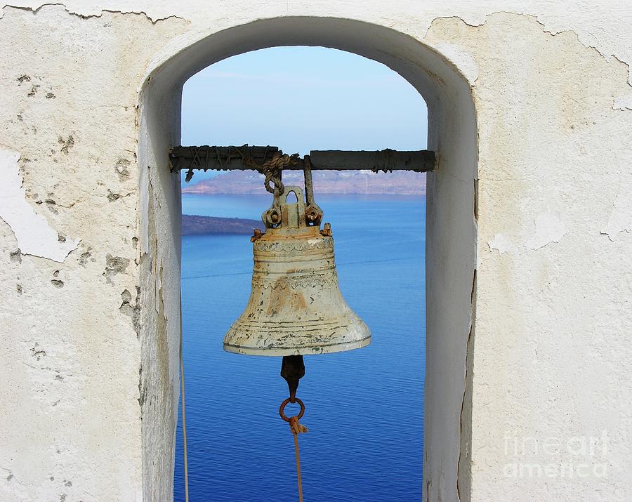 A Sea Bell Photograph by Mel Steinhauer