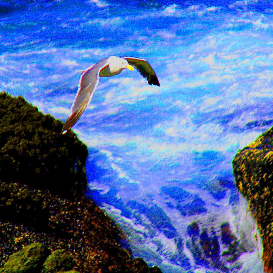 A SeaGull above the Waves Digital Art by Joseph Coulombe