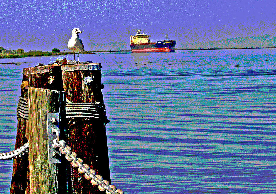 Antioch Digital Art - A Seagull View by Joseph Coulombe
