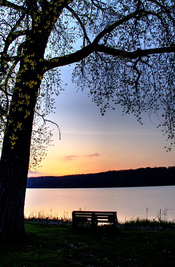 A Seat at Dawn Photograph by Hans Brakob