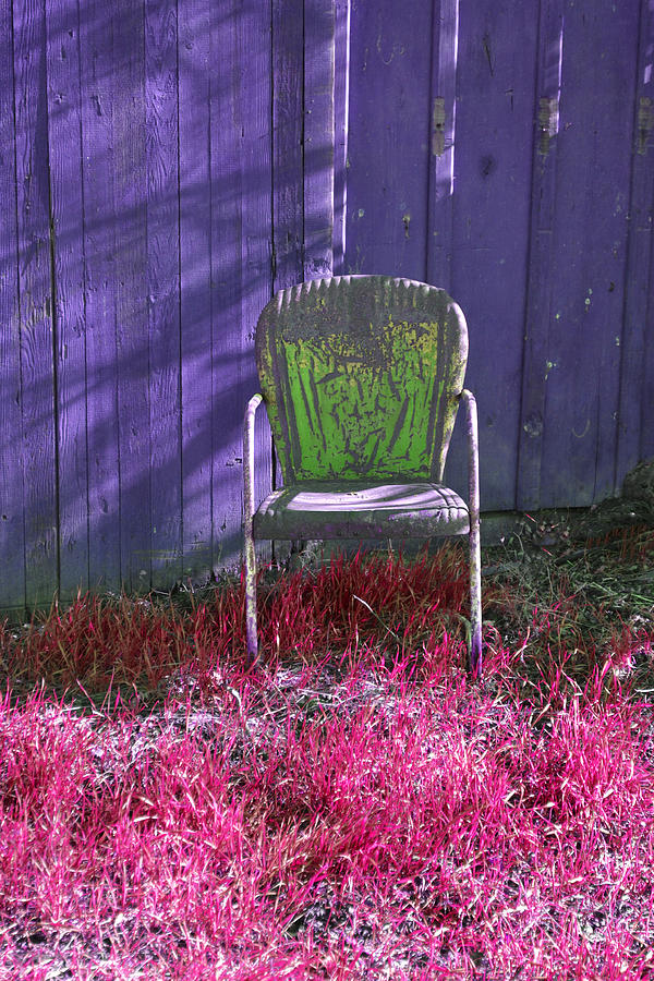 Green Photograph - A Seat For Green by Holly Blunkall