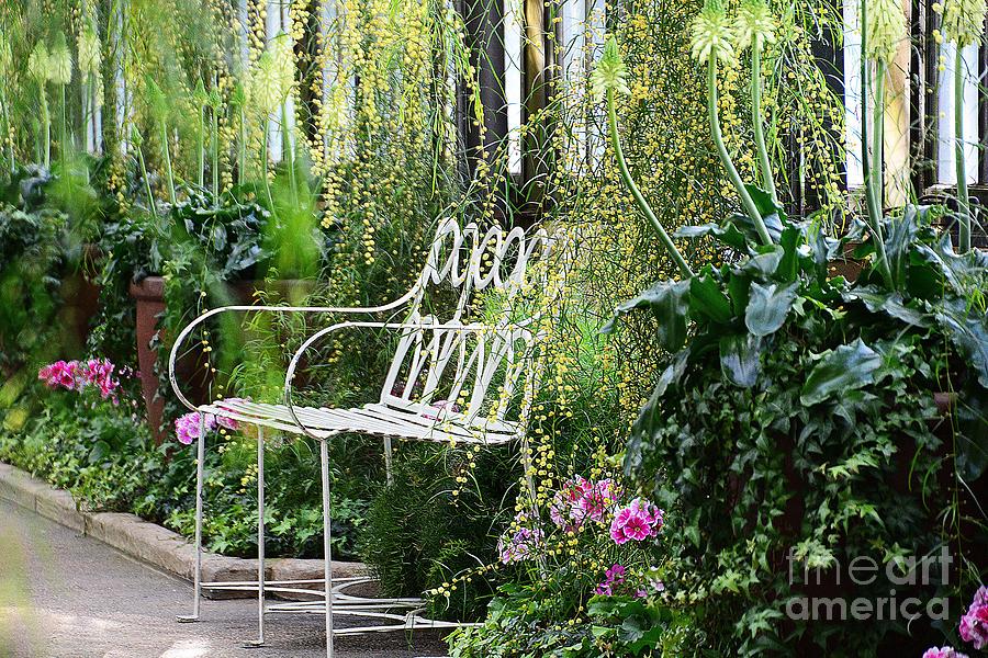 Garden Photograph - A Seat in the Garden by Cindy Manero