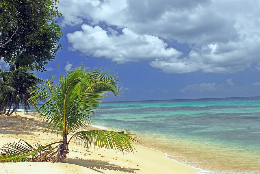 A Secluded Beach in Barbados Photograph by Willie Harper