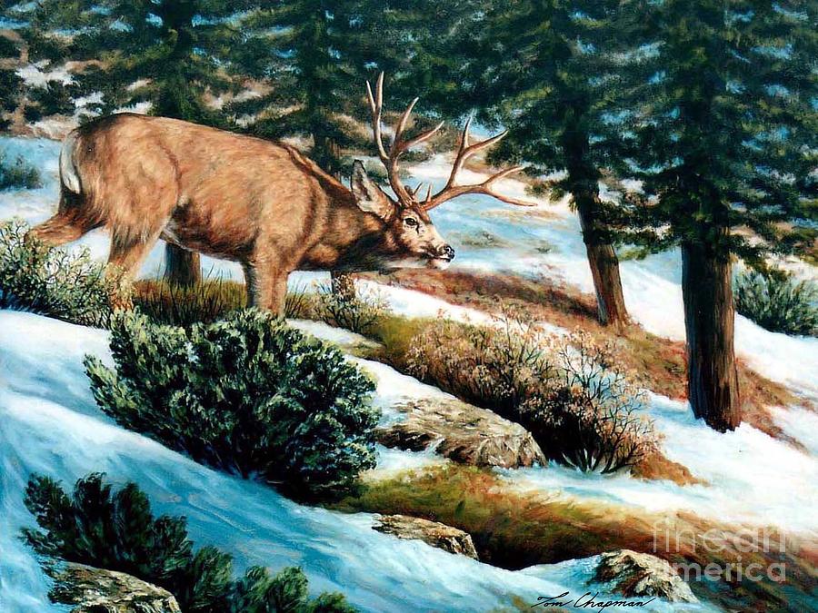 Deer Painting - A Sense of Danger by Tom Chapman