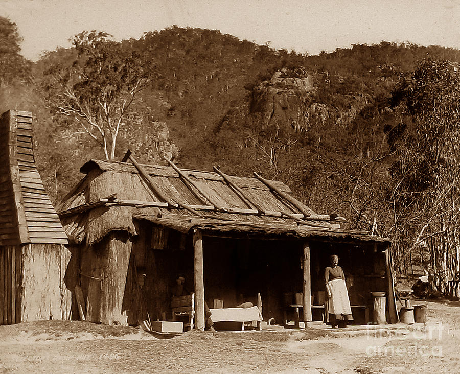 A Settler's Bark Hut Australia Photograph by The KeasburyGordon