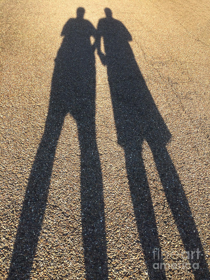 A Shadowy Pair Photograph by Amy Cicconi