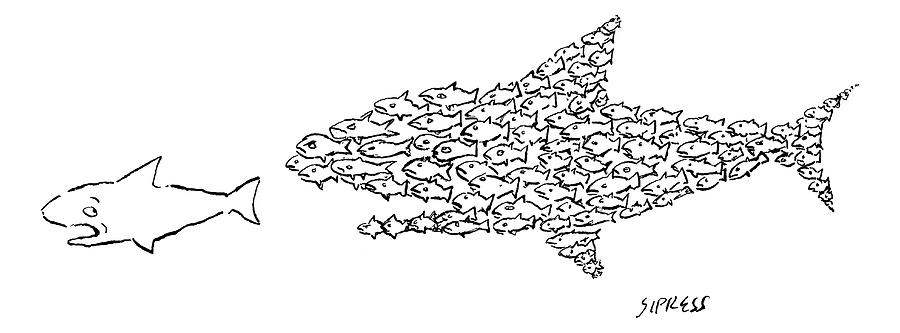 A Shark Is Chased By A School Of Fish That Drawing by David Sipress
