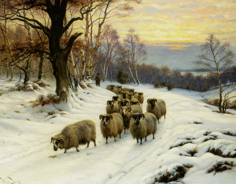 A Shepherd And His Flock Photograph by Wright Barker
