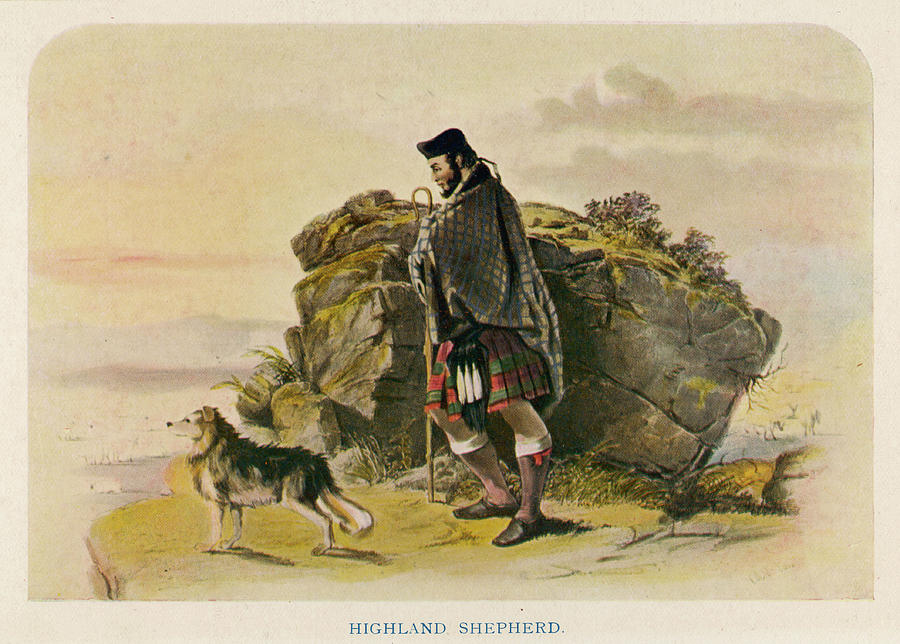 highland shepherd dog